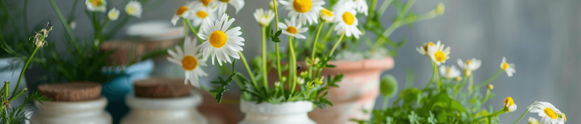 pot de yaourt fleur